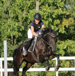 woman jumping a horse over a hurdle
